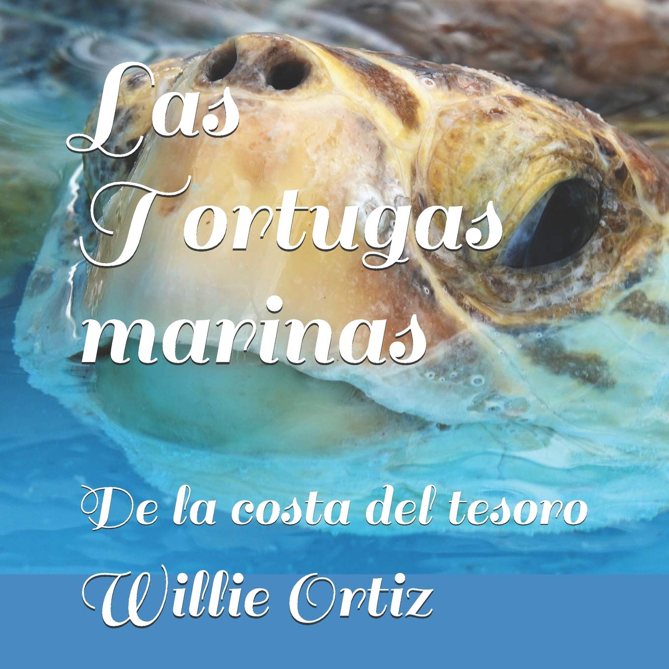 Las Tortugas marinas: De la costa del tesoro (Spanish Edition),Used
