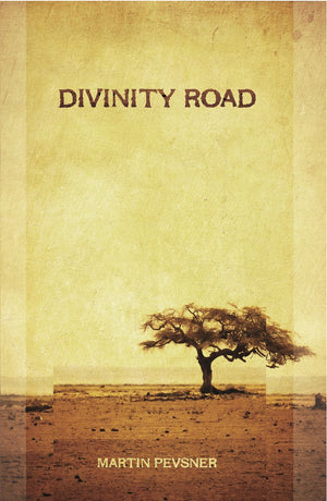 Divinity Road,Used