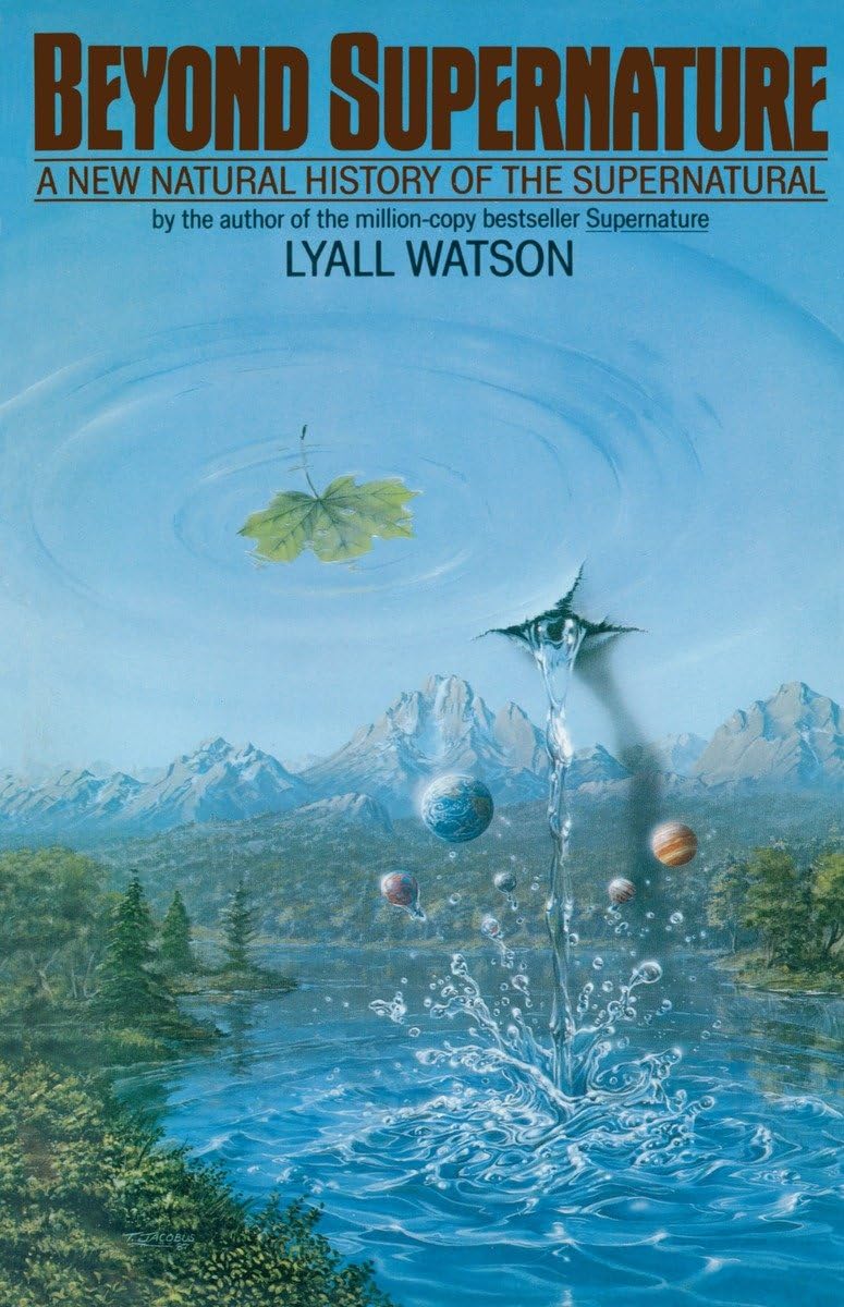 Beyond Supernature: A New Natural History of the Supernatural,Used