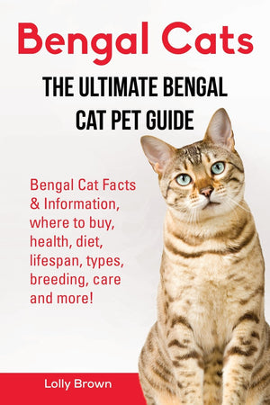 Bengal Cats: Bengal Cat Facts & Information, where to buy, health, diet, lifespan, types, breeding, care and more! The Ultimate ,New