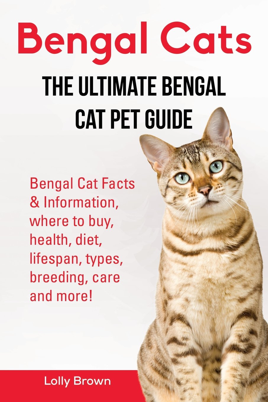 Bengal Cats: Bengal Cat Facts & Information, where to buy, health, diet, lifespan, types, breeding, care and more! The Ultimate ,New