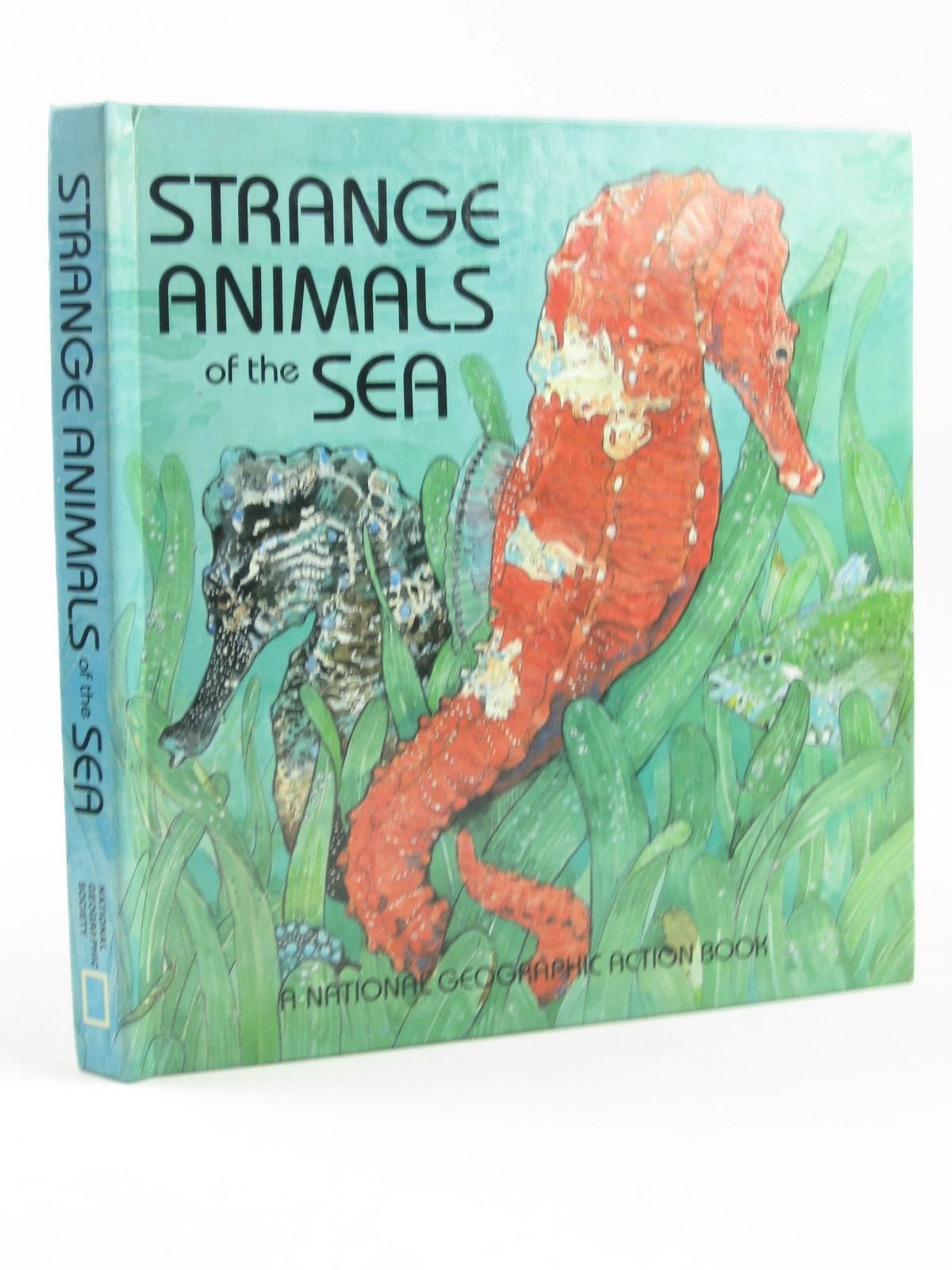Strange Animals of the Sea,Used
