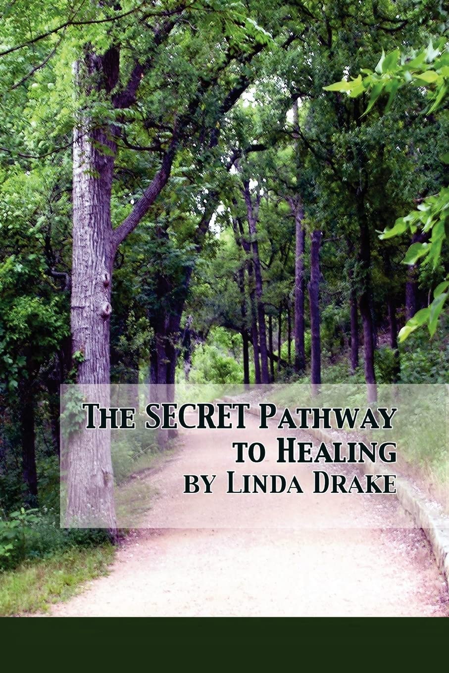 The Secret Pathway To Healing: The Journey Of Healing Relationships And Learning To Love Yourself,Used