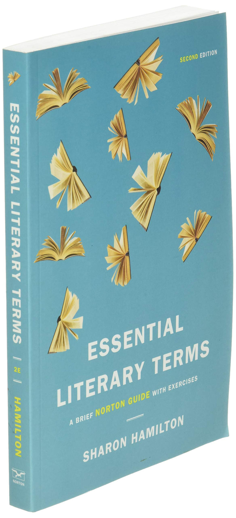 Essential Literary Terms: A Brief Norton Guide With Exercises,Used