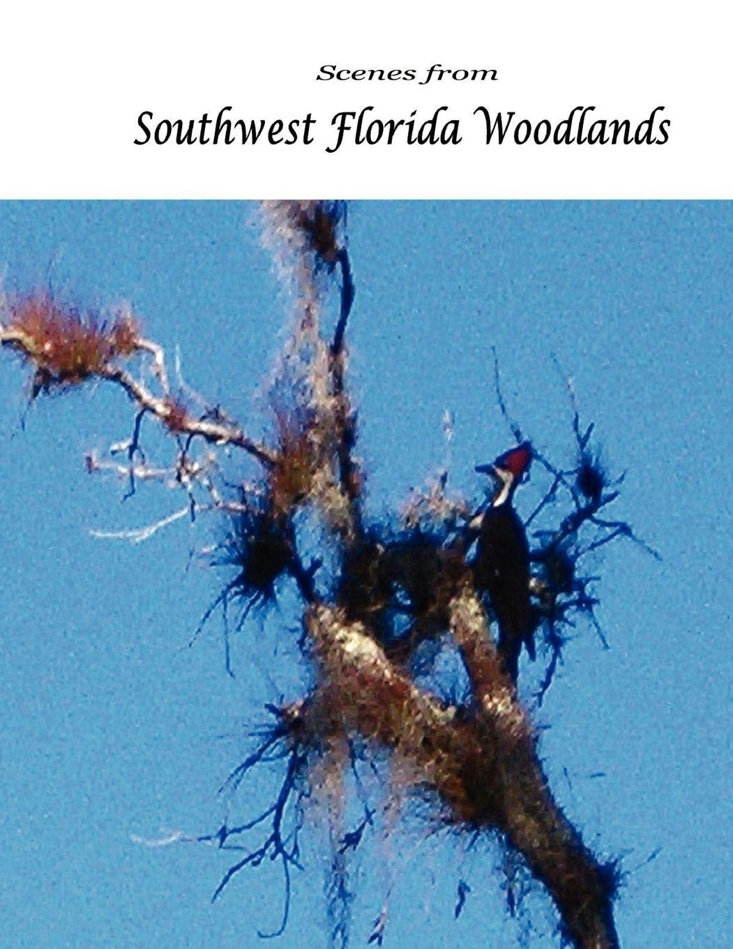 Scenes from Southwest Florida Woodlands,Used