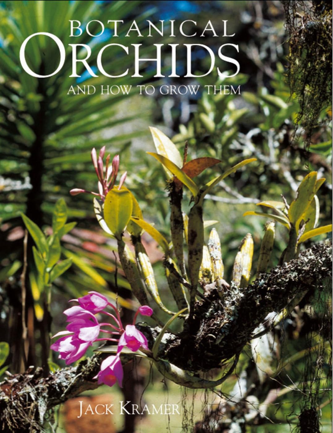 Botanical Orchids and How to Grow Them,Used