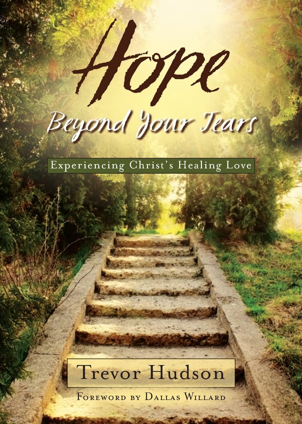 Hope Beyond Your Tears: Experiencing Christ's Healing Love,Used