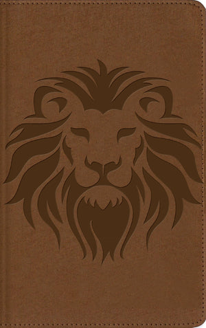 Nbla, Biblia Visual De Estudio Para Nios, Leathersoft, Len Caf: Explora La Biblia: Personajes, Lugares E Historia (Spanish E,New