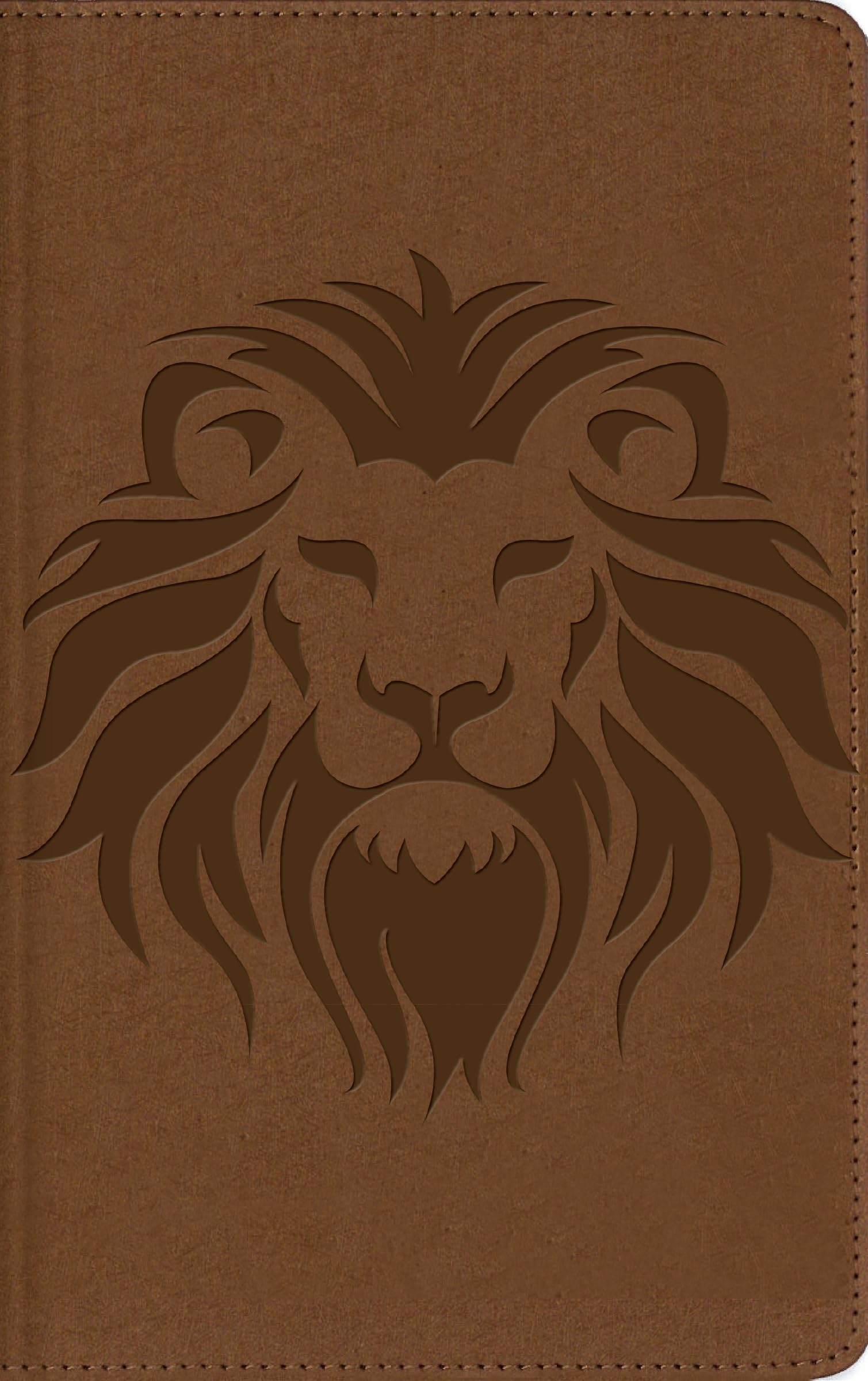 Nbla, Biblia Visual De Estudio Para Nios, Leathersoft, Len Caf: Explora La Biblia: Personajes, Lugares E Historia (Spanish E,Used