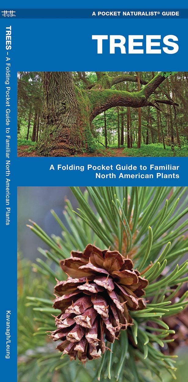 Trees: A Folding Pocket Guide to Familiar North American Plants (Wildlife and Nature Identification),Used