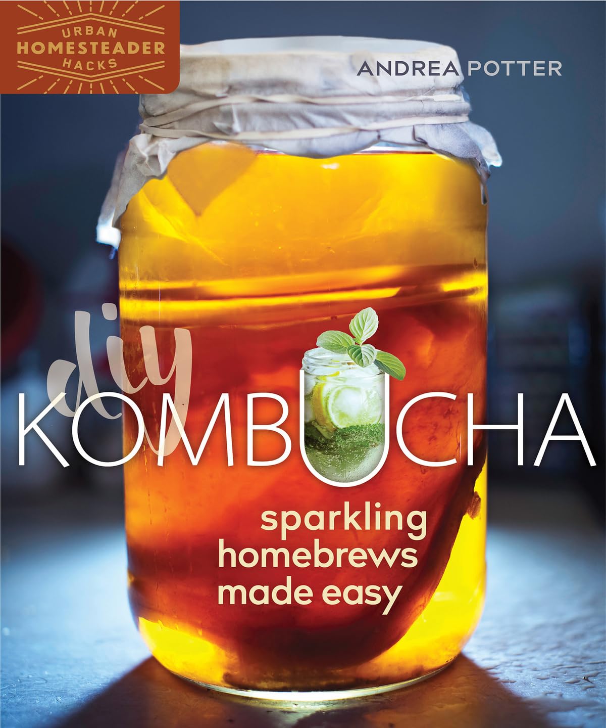 DIY Kombucha: Sparkling Homebrews Made Easy (Homegrown City Life, 5),Used