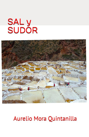 SAL Y SUDOR (Spanish Edition),Used