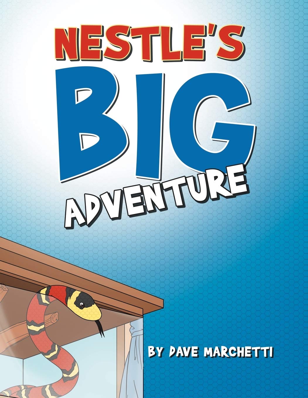 Nestle'S Big Adventure,Used