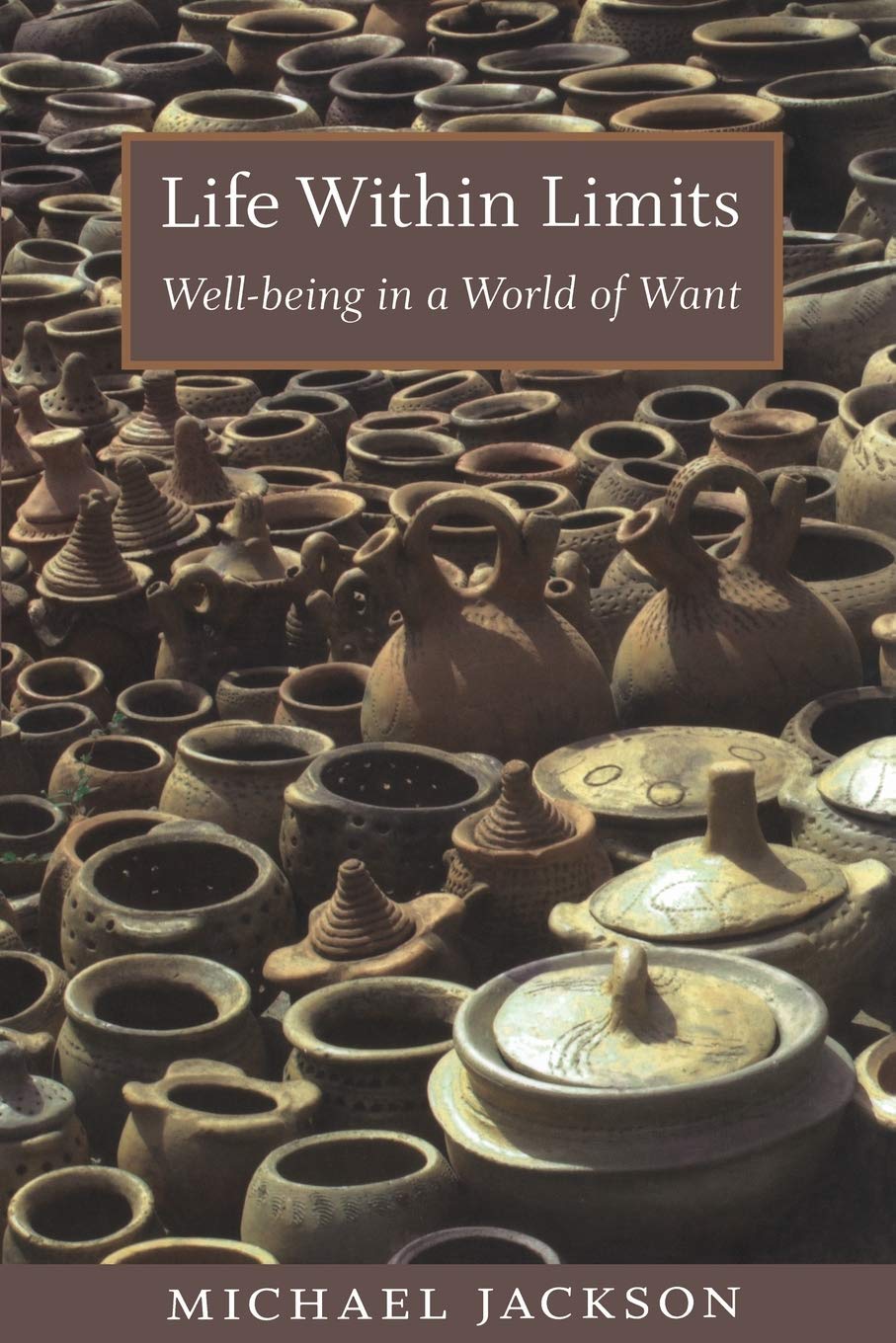 Life Within Limits: Wellbeing in a World of Want,New