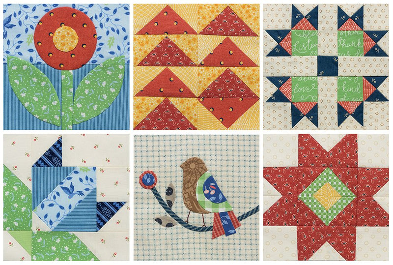 The Splendid Sampler 2: Another 100 Blocks from a Community of Quilters,New
