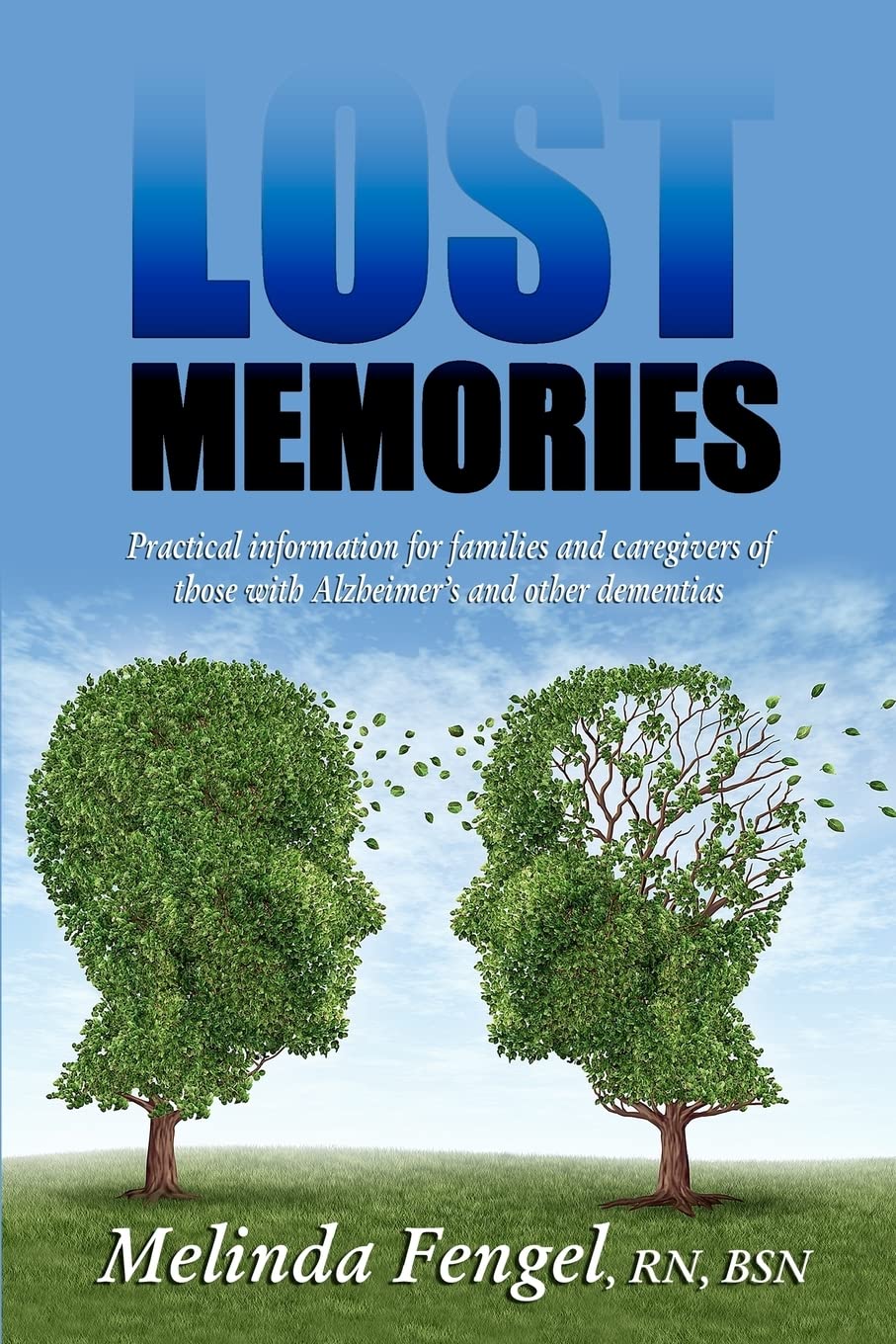 Lost Memories: Practical Information For Families And Caregivers Of Those With Alzheimer'S And Other Dementias,Used