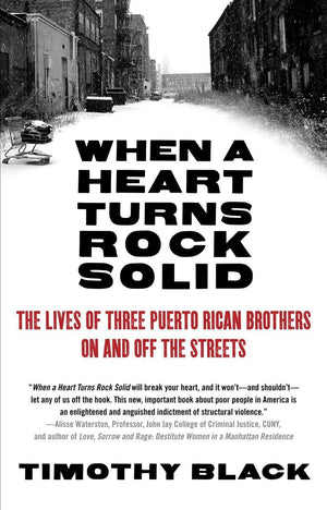 When a Heart Turns Rock Solid: The Lives of Three Puerto Rican Brothers On and Off the Streets,Used