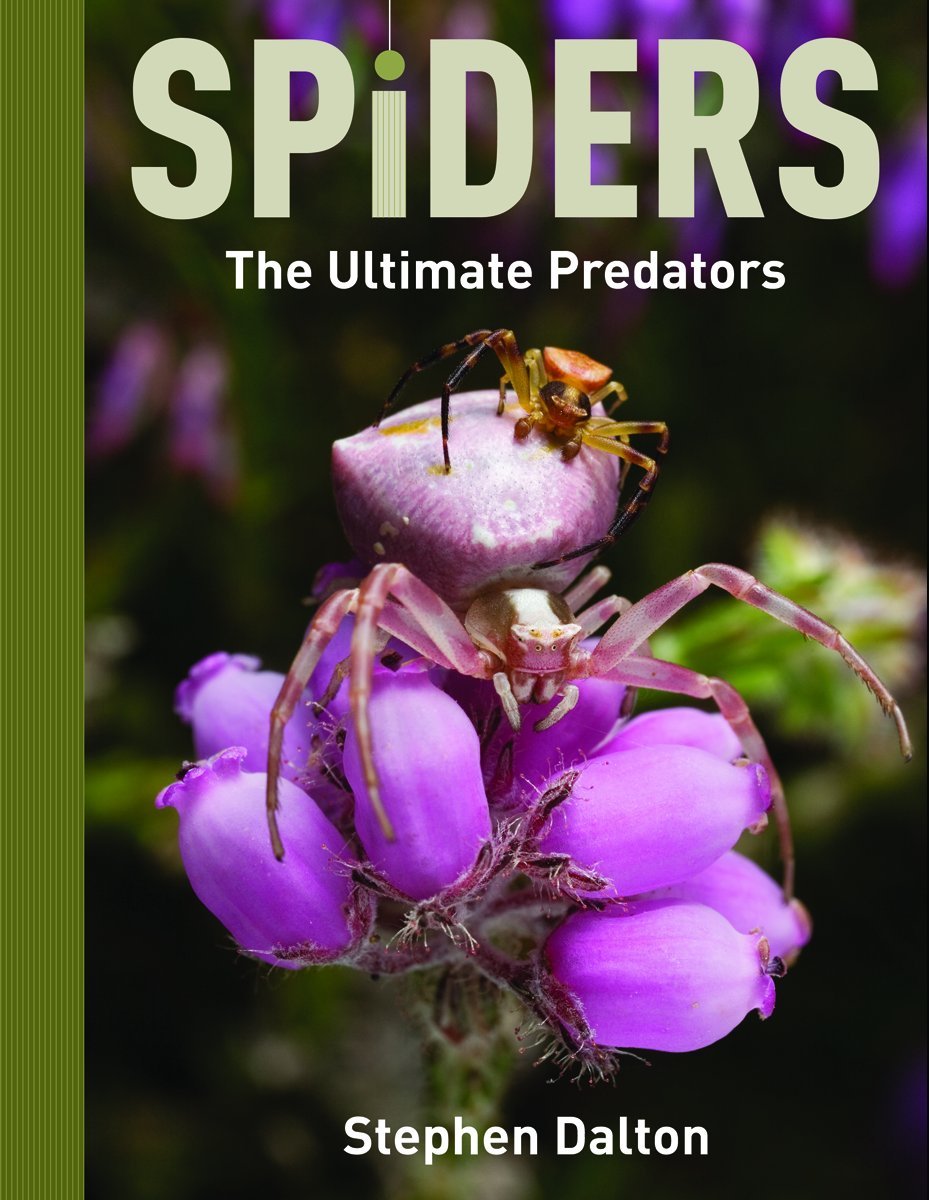 Spiders: The Ultimate Predators,Used