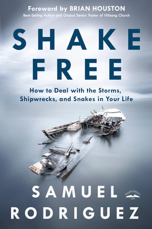 Shake Free: How To Deal With The Storms, Shipwrecks, And Snakes In Your Life,Used