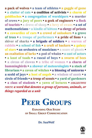 Peer Groups: Expanding Our Study of Small Group Communication,Used