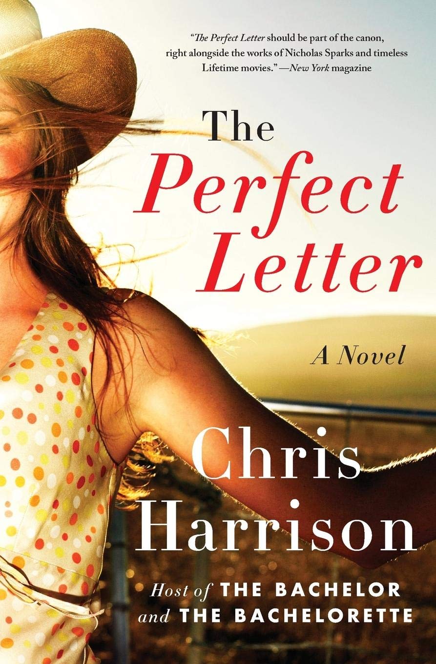 The Perfect Letter: A Novel,Used