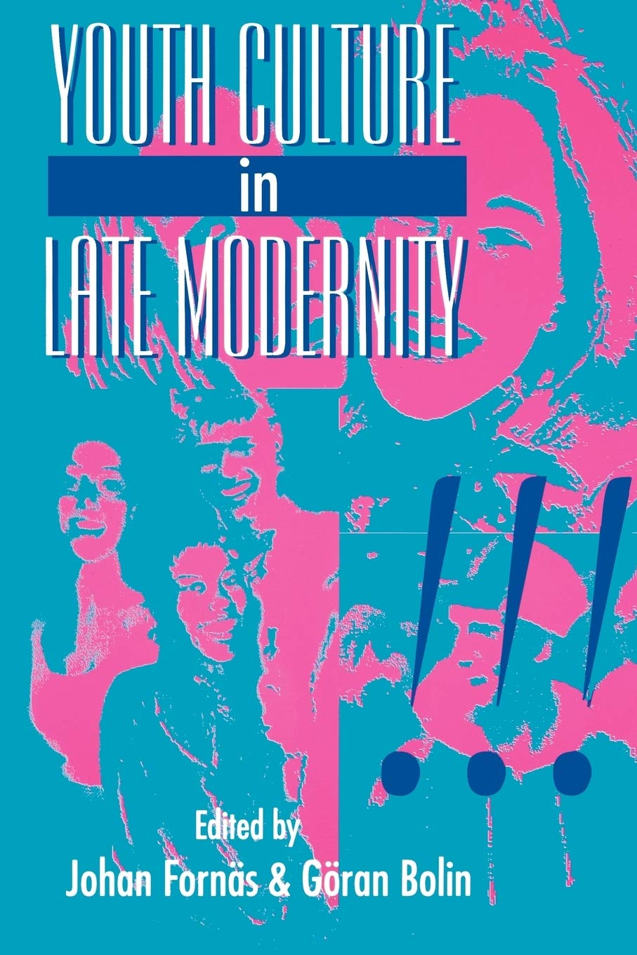 Youth Culture in Late Modernity,Used