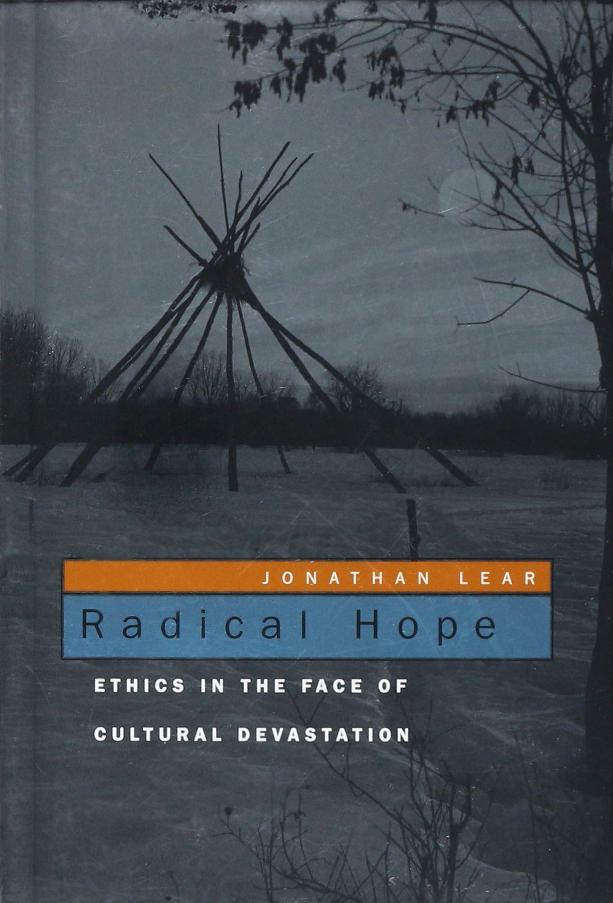 Radical Hope: Ethics In The Face Of Cultural Devastation,New