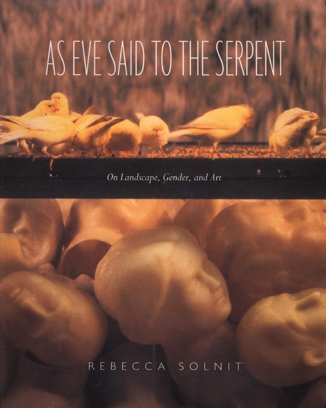 As Eve Said To The Serpent: On Landscape, Gender, And Art