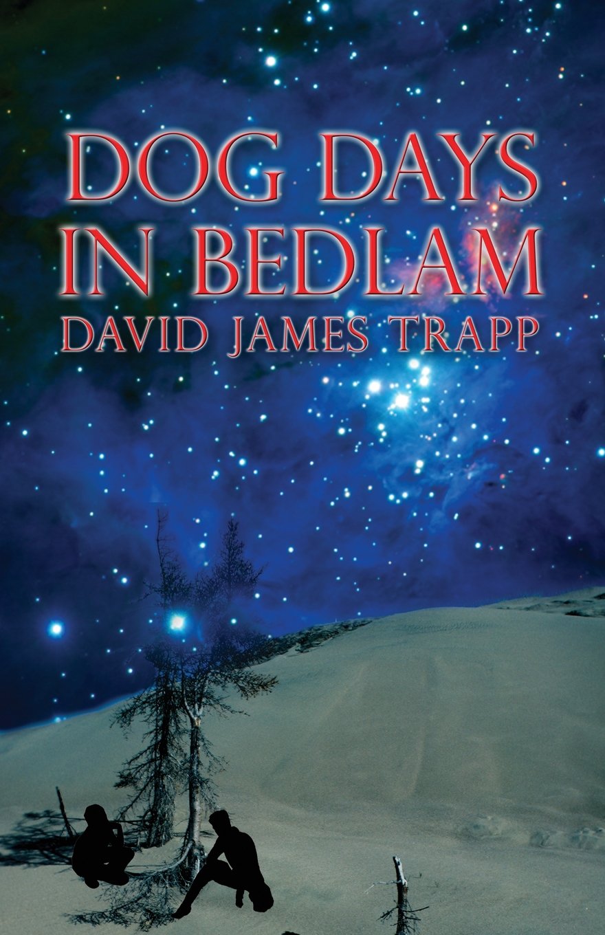 Dog Days in Bedlam,Used