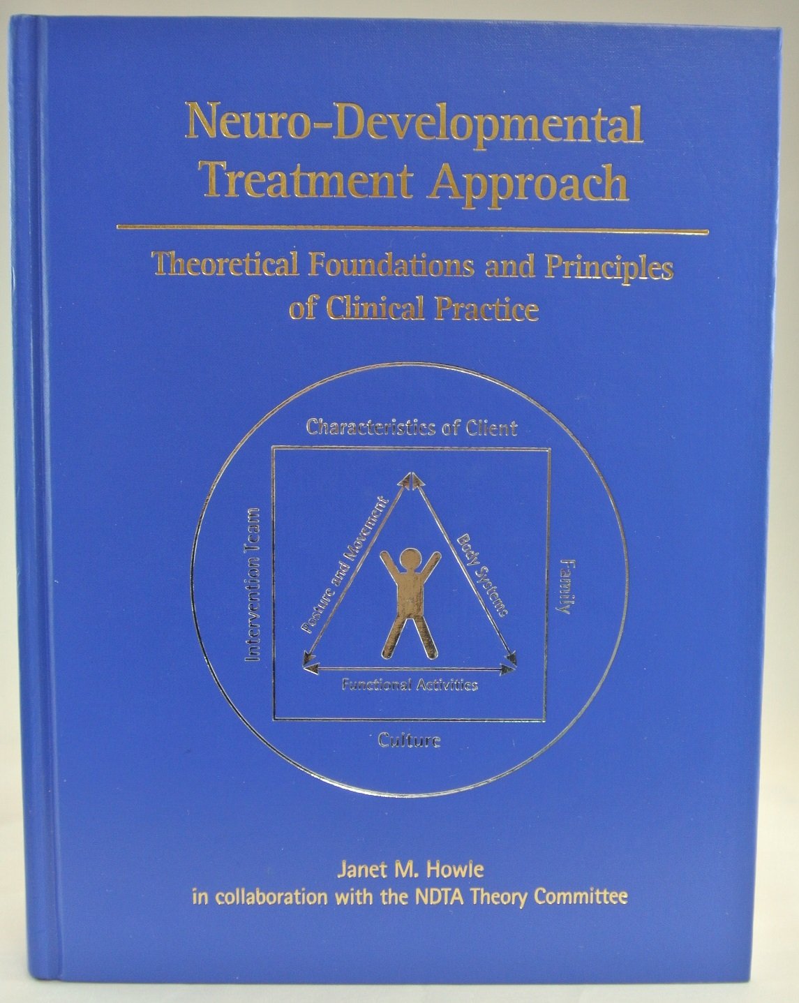 Neurodevelopmental Treatment Approach: Theoretical Foundations & Principles,New