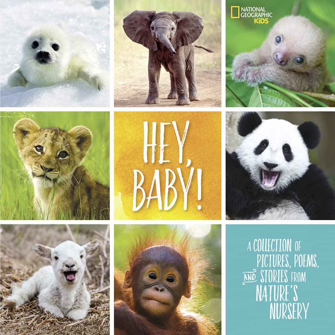 Hey, Baby!: A Collection Of Pictures, Poems, And Stories From Nature'S Nursery (National Geographic Kids)