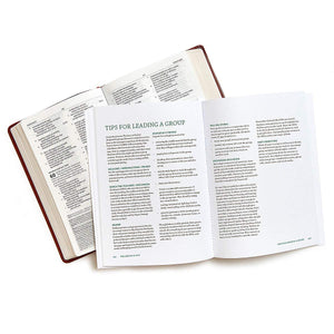 The Armor of God  Bible Study Book,New