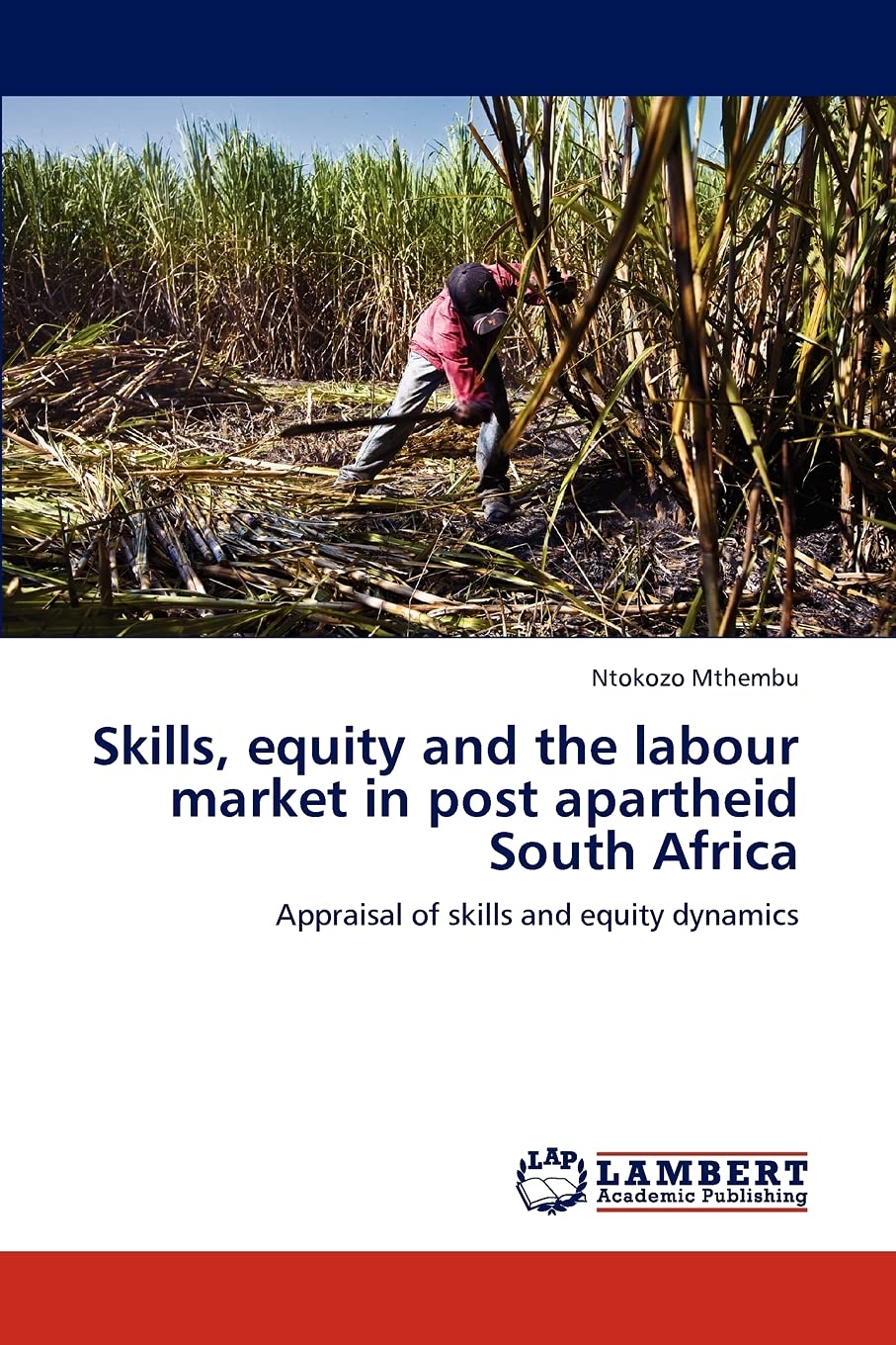 Skills, equity and the labour market in post apartheid South Africa: Appraisal of skills and equity dynamics,Used