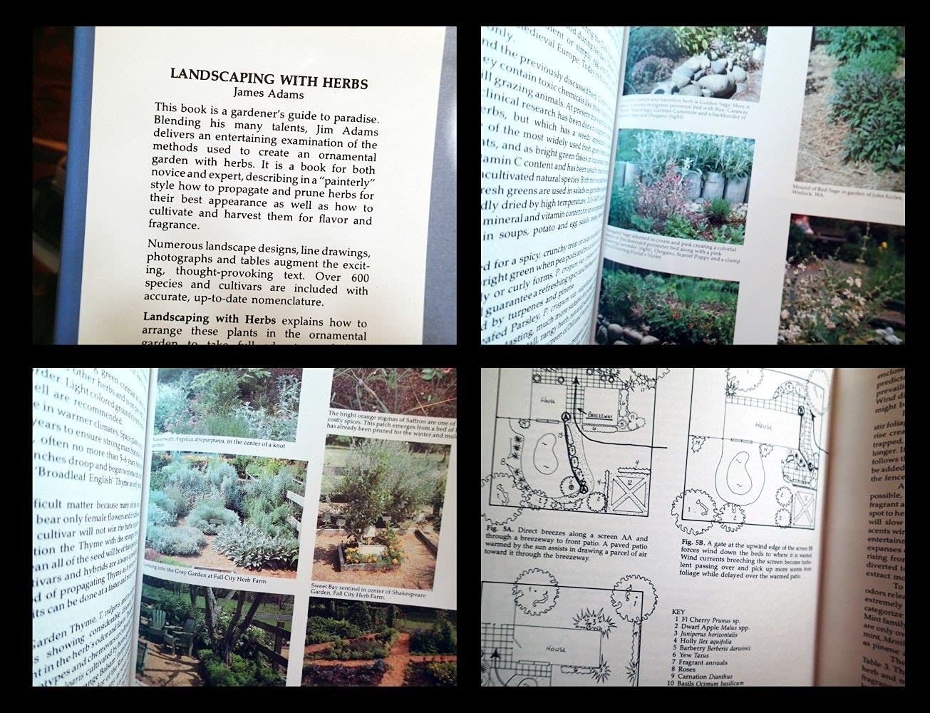 Landscaping With Herbs,Used