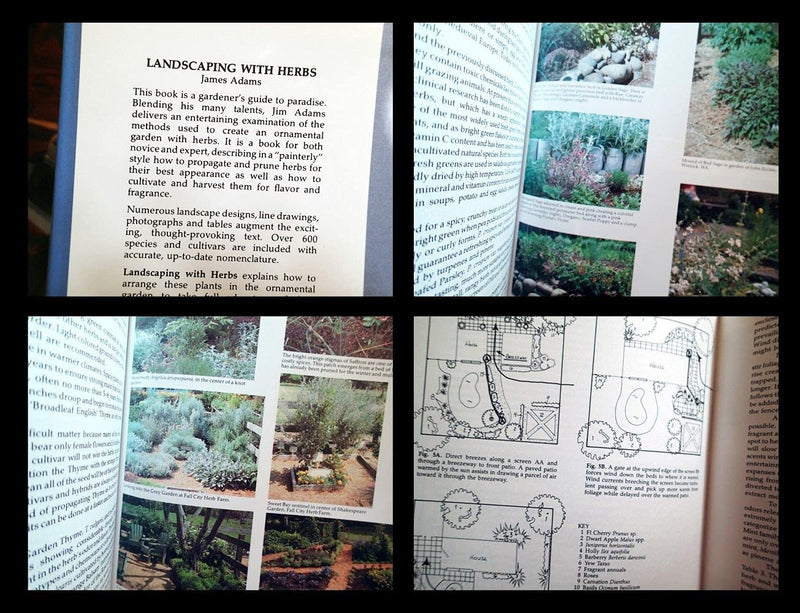 Landscaping With Herbs,Used