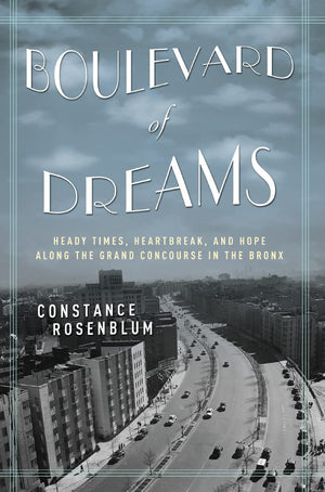 Boulevard Of Dreams: Heady Times, Heartbreak, And Hope Along The Grand Concourse In The Bronx,Used