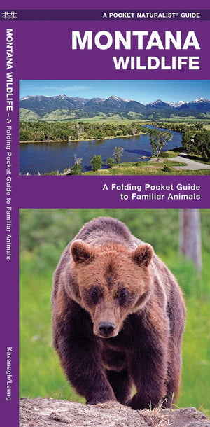 Montana Wildlife: A Folding Pocket Guide to Familiar Animals (Wildlife and Nature Identification),Used