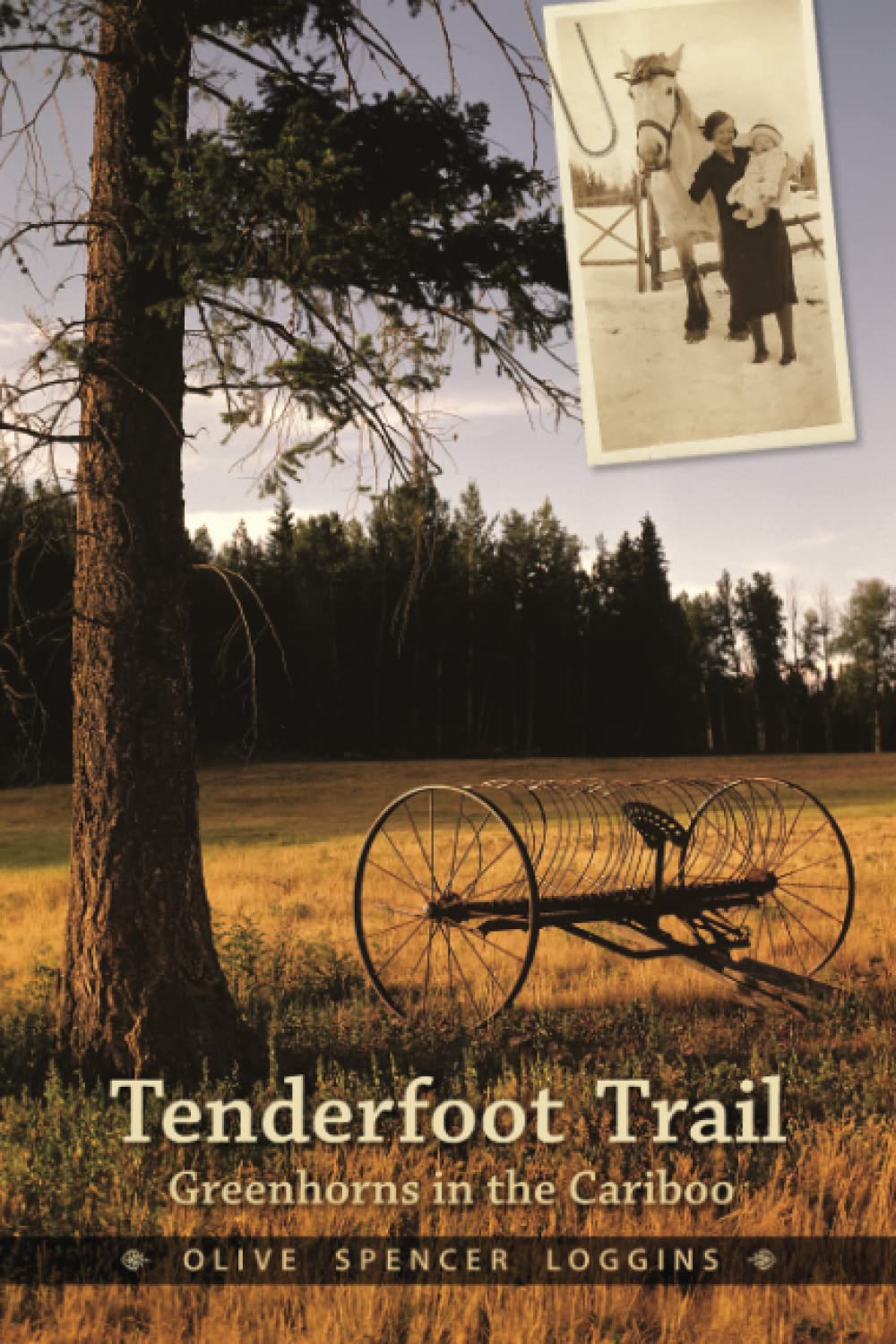 Tenderfoot Trail,Used