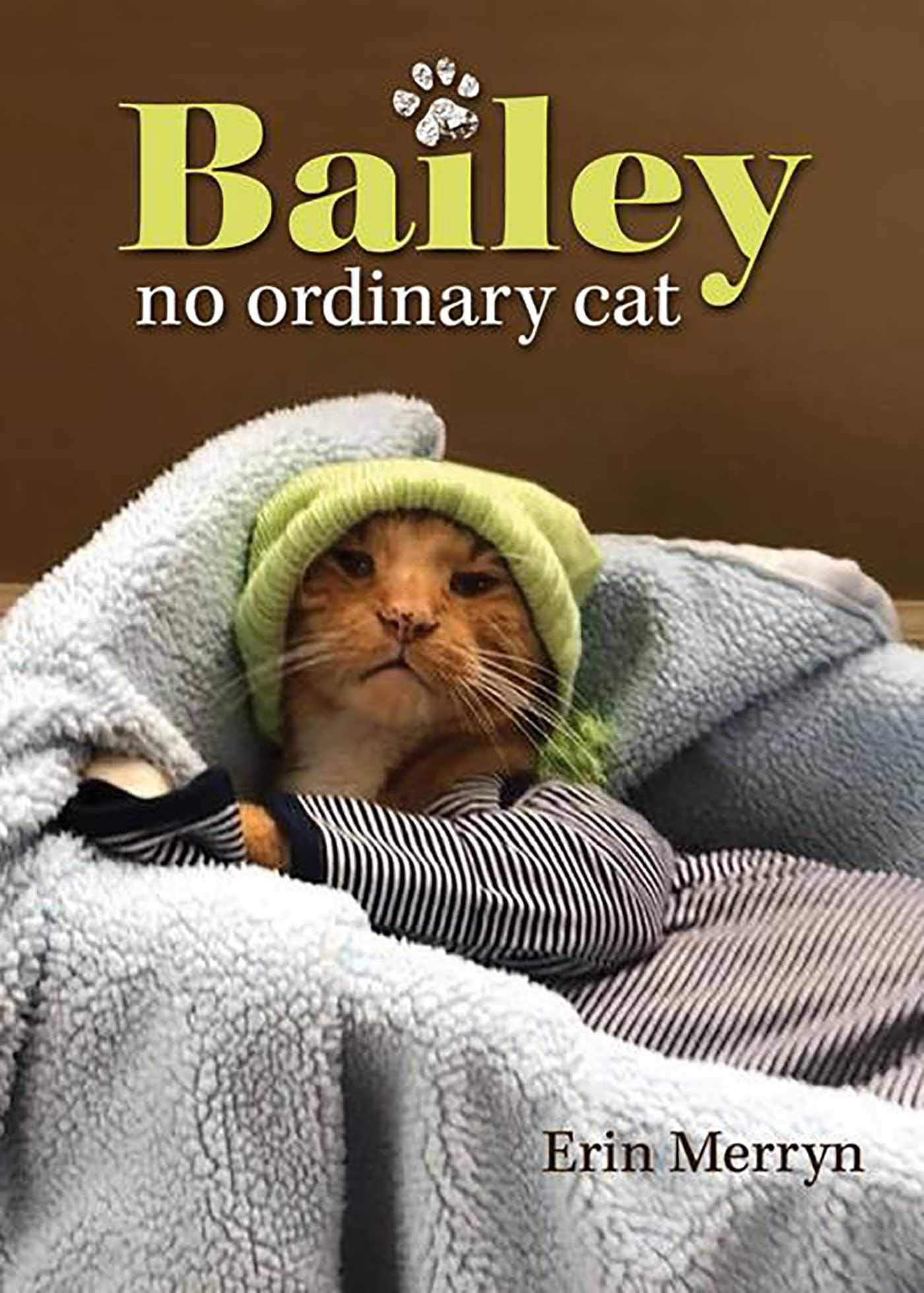Bailey, No Ordinary Cat,Used