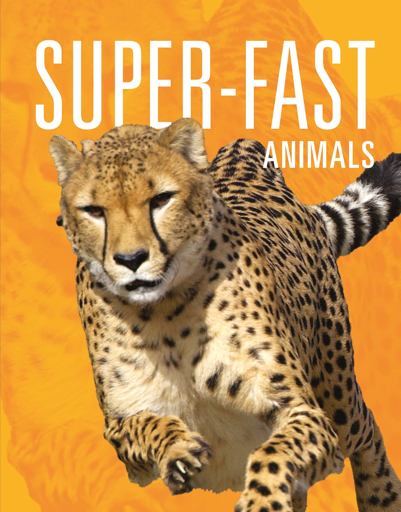 SUPER FAST ANIMALS