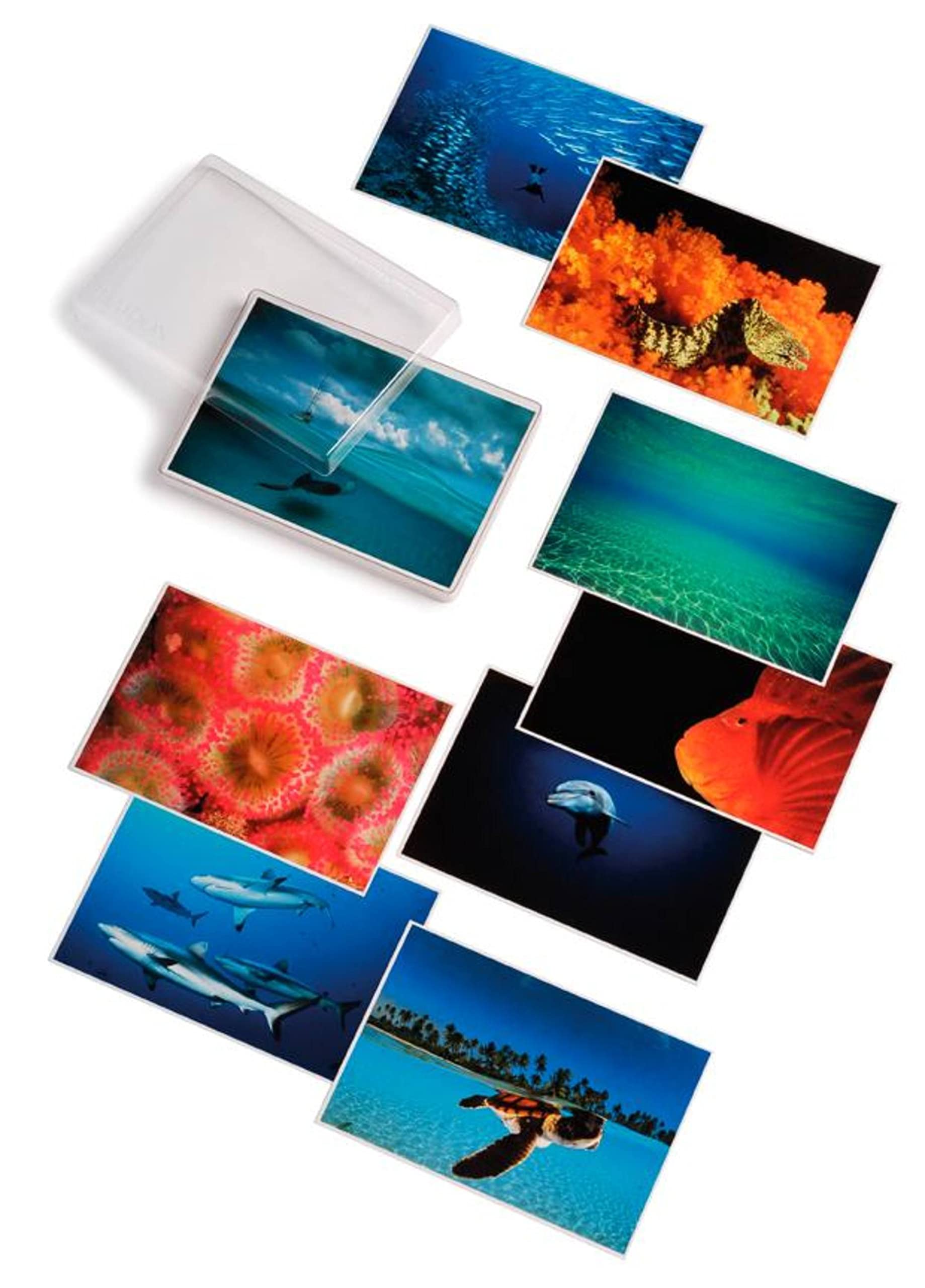 David Doubilet: Water, Light, Time: Postcards