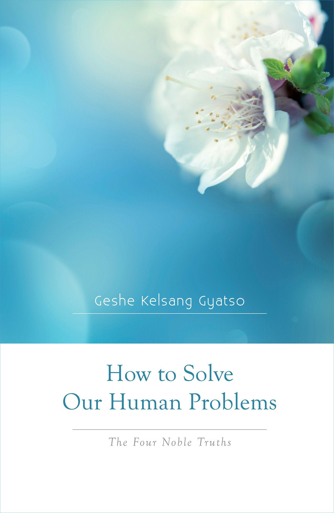 How To Solve Our Human Problems: The Four Noble Truths,Used