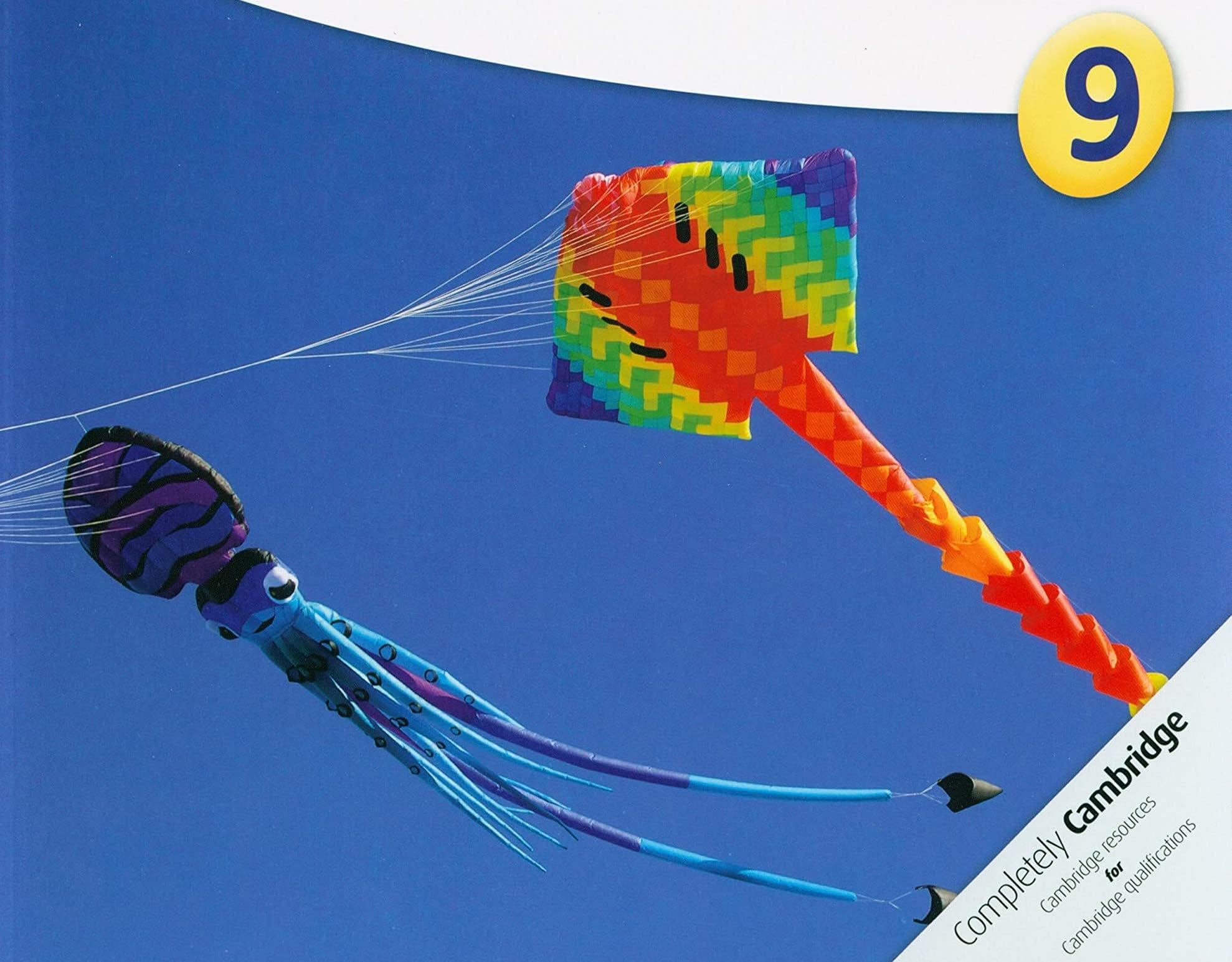 Cambridge Global English Workbook Stage 9: for Cambridge Secondary 1 English as a Second Language,Used