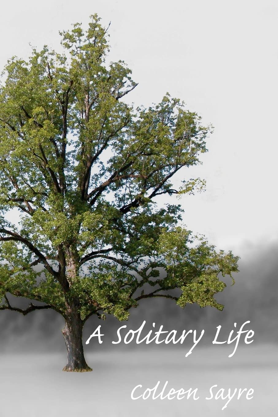 A Solitary Life,Used