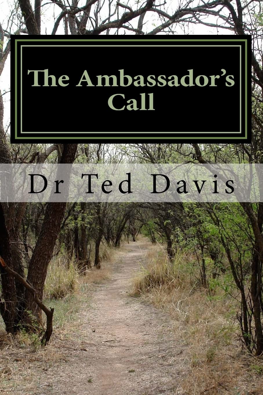 The Ambassador'S Call,Used