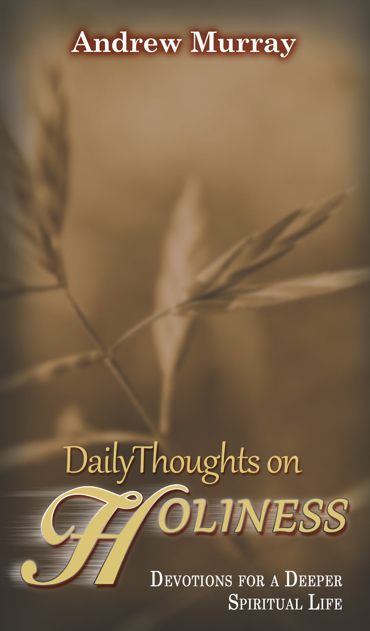 Daily Thoughts on Holiness,Used