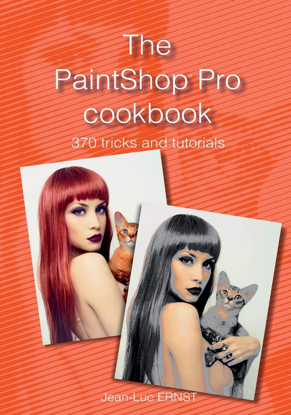 The PaintShop Pro cookbook,Used
