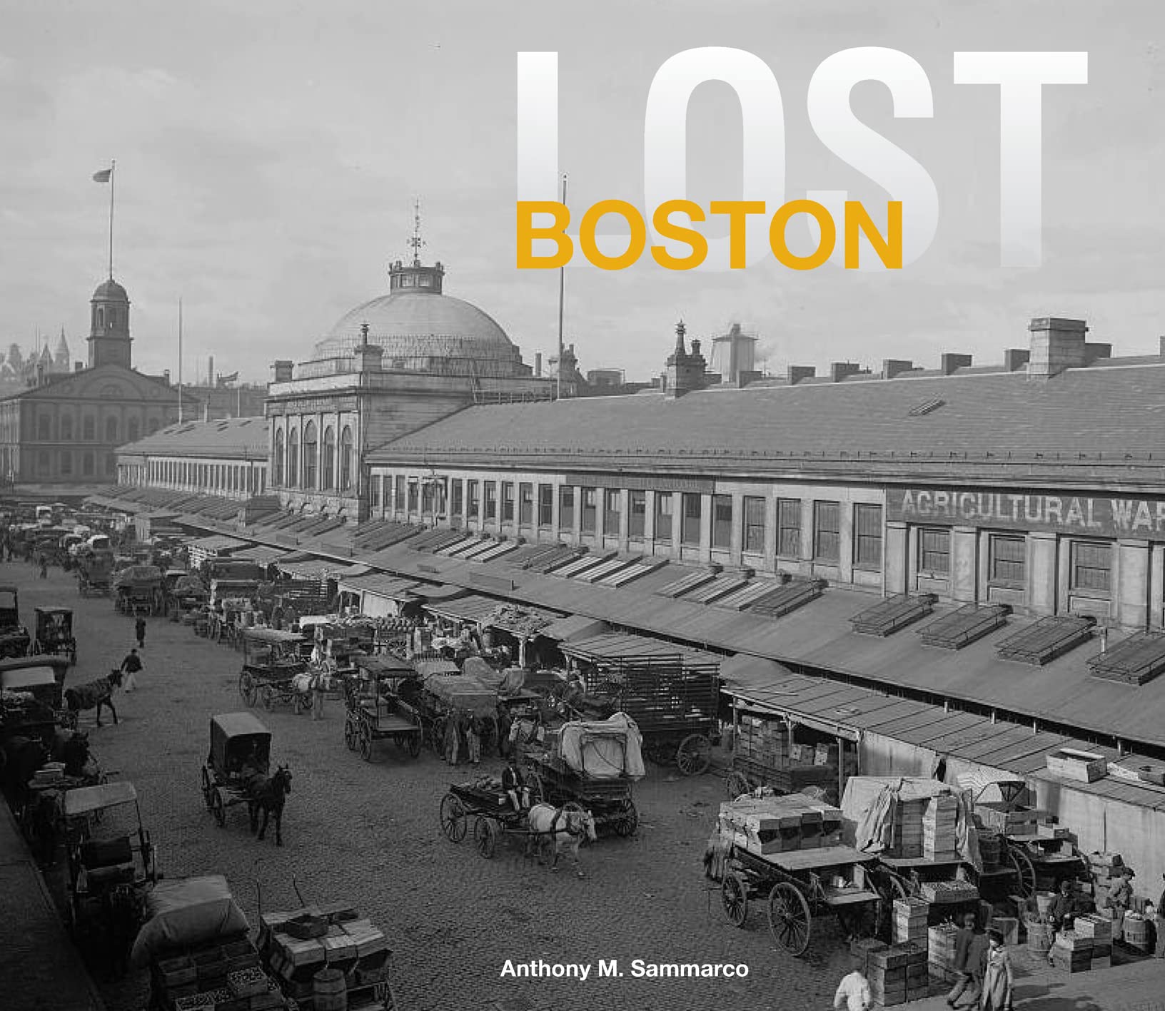 Lost Boston,Used