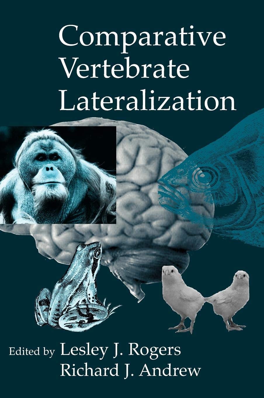 Comparative Vertebrate Lateralization,New