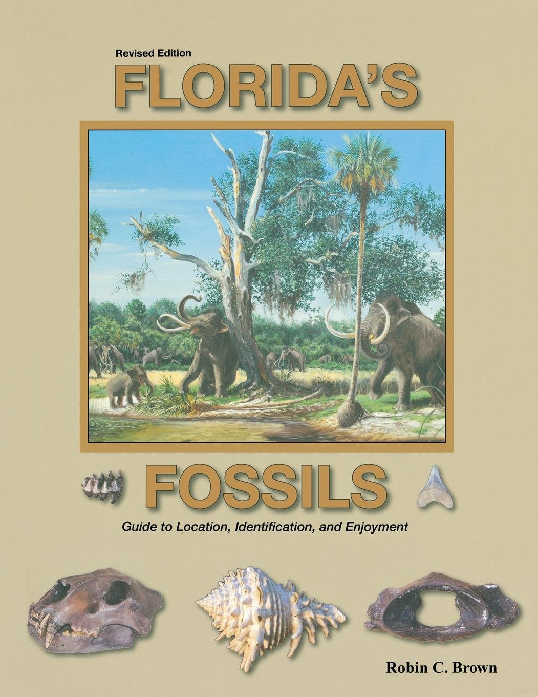 Floridas Fossils: Guide to Location, Identification and Enjoyment